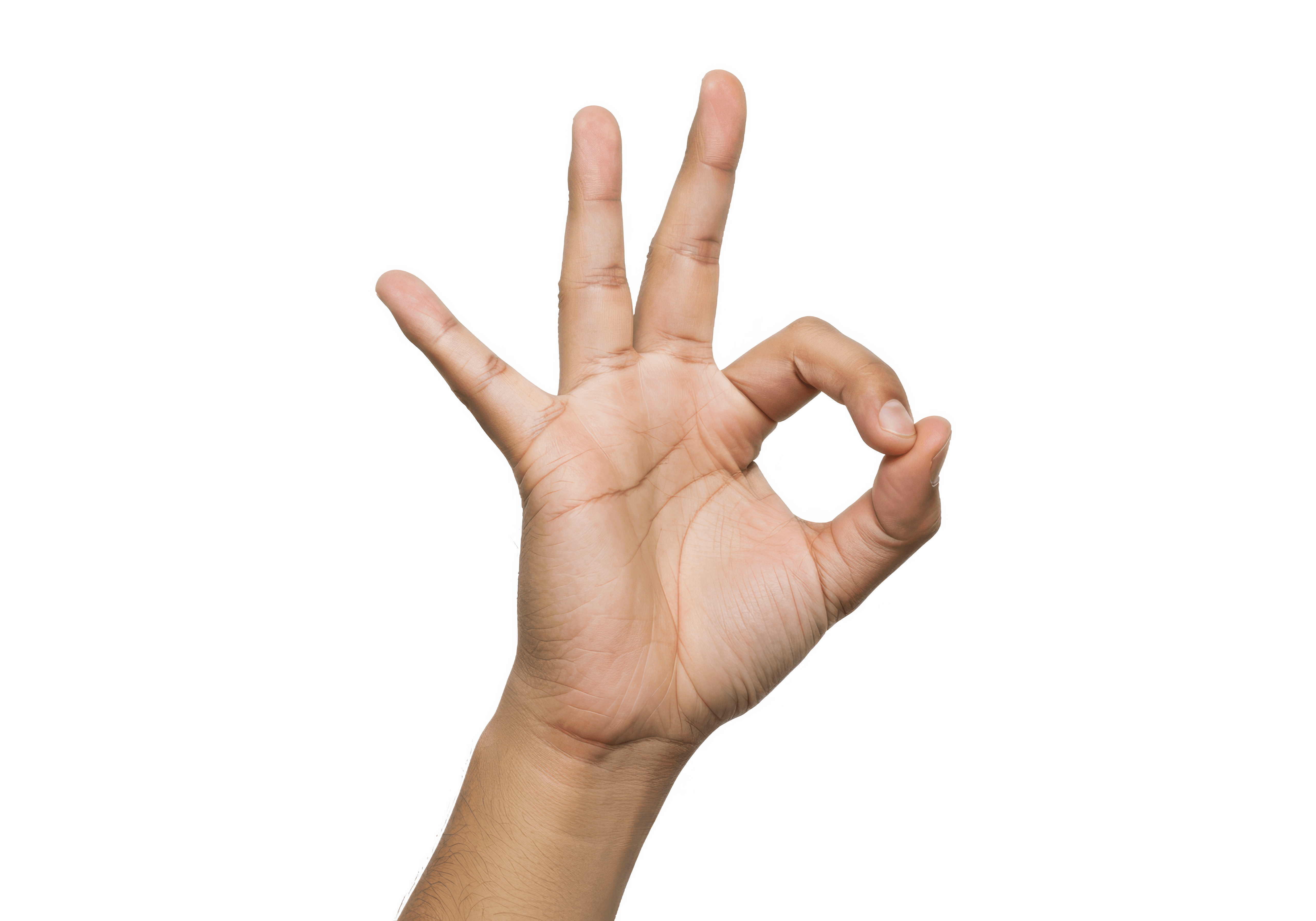 A hand making an OK symbol.
